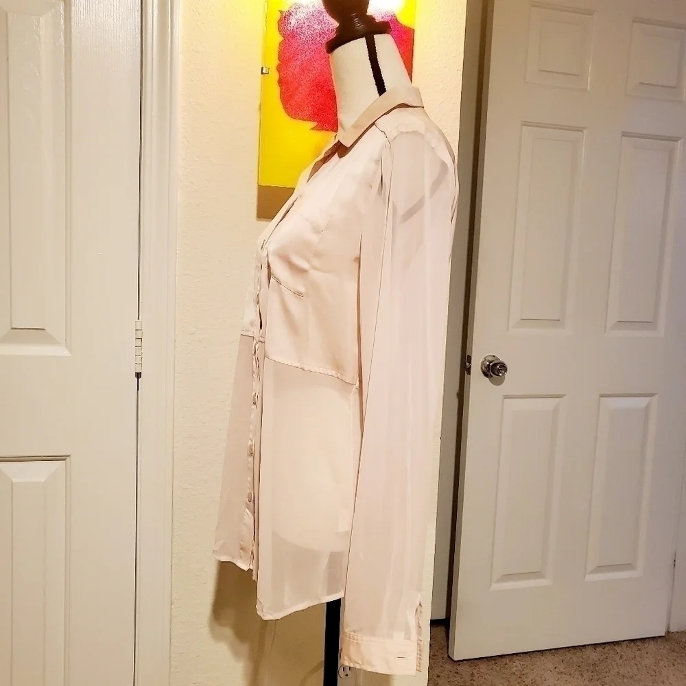Free People | Sheer Pink Blouse